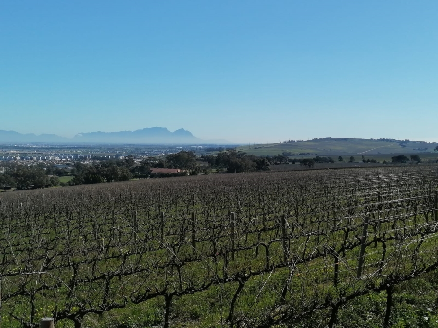 3 Bedroom Property for Sale in Heldervue Western Cape